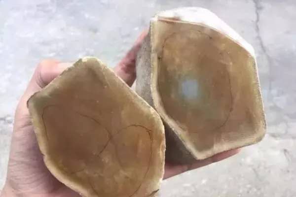 梧越珠宝-工厂现场解石黄翡冰种玉肉翡翠A货高冰黄翡
